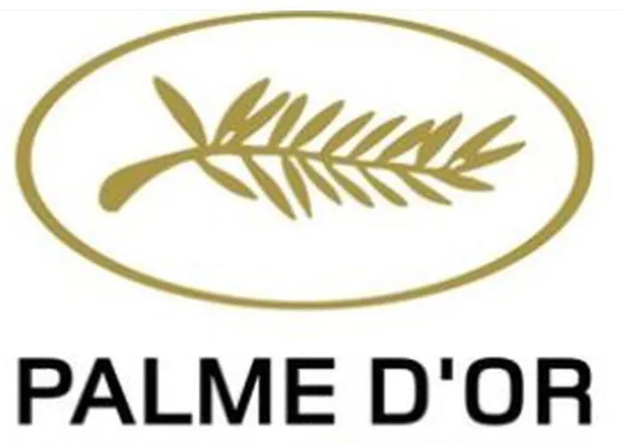 He Jude Le Suquet Cannes