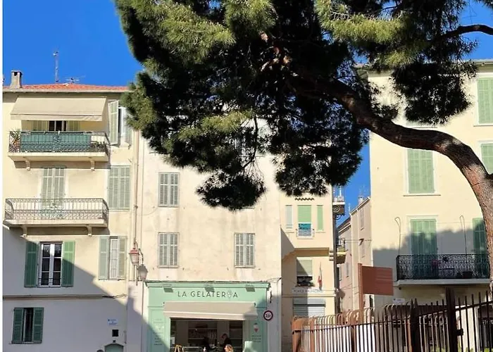 He Jude Le Suquet Cannes